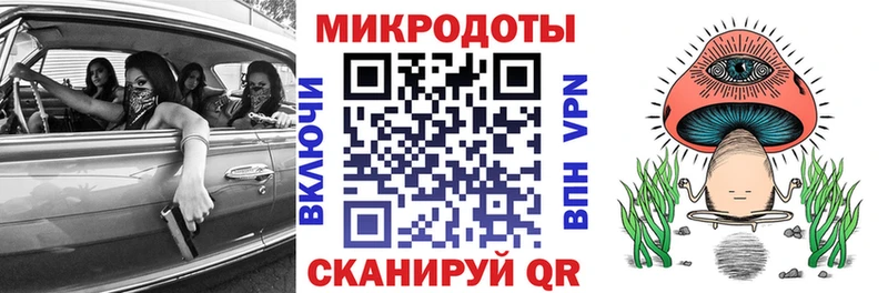 наркошоп  Камызяк  Галлюциногенные грибы Psilocybe 