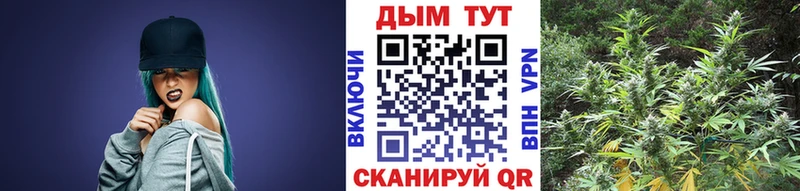 Конопля план наркота ссылка на мегу сайт Камызяк
